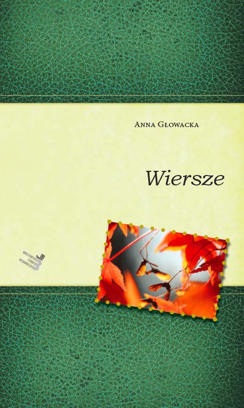 Okładka książki