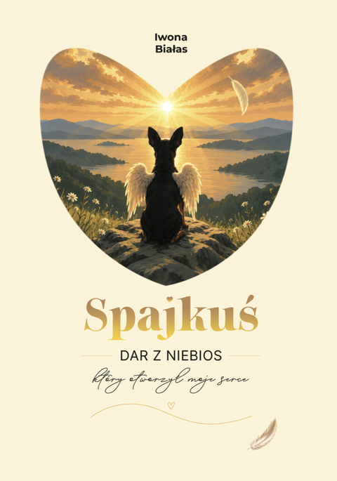 Okładka - Spajkuś